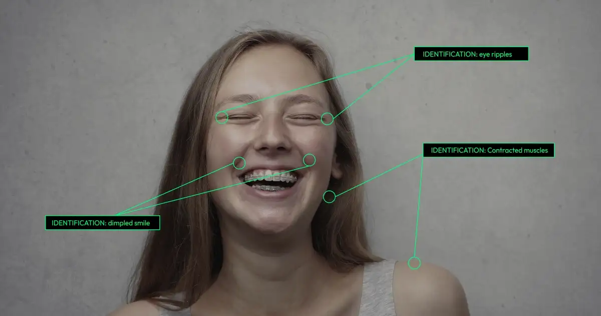 Facial Emotion Classification Demonstration